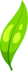 Listiq icon