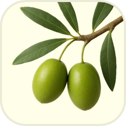 listiq-olives-icon